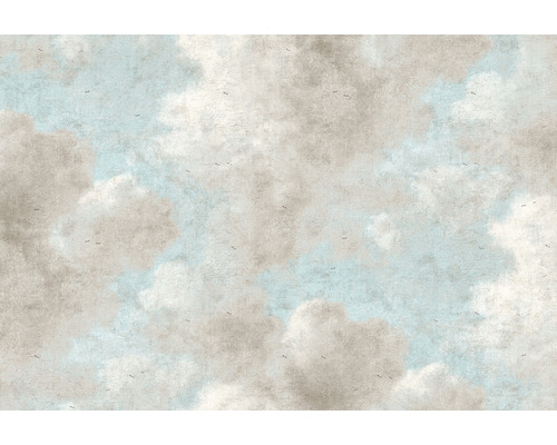 A.S. CRÉATION Fotobehang vlies DD118817 History of Art cloud painting 400x270 cm