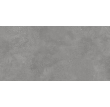 Wand- en Vloertegel Bergamo grijs 60x120 cm gerectificeerd