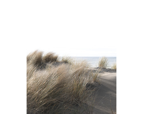 MARBURG Fotobehang vlies 47219 Smart Art Easy duin beige 212x270 cm Duingras op het strand