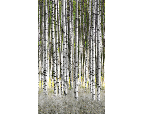 MARBURG Fotobehang vlies 47220 Smart Art Easy bomen wit/groen 159x270 cm