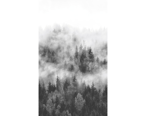 MARBURG Fotobehang vlies 47268 Smart Art Easy bos grijs 159x270 cm Mist boven een bos met naaldbomen