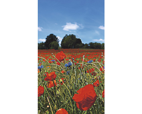 MARBURG Fotobehang vlies 47273 Smart Art Easy bloemen rood/groen 159x270 cm