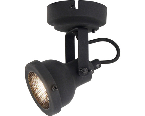 Plafondlamp met verstelbare spot