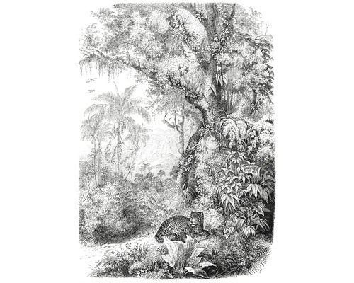 ESTAHOME Fotobehang vlies 158945 Paradise jungle motief zwart/wit 200x279 cm