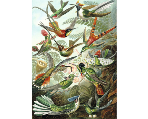 ESTAHOME Fotobehang vlies 158954 Paradise vogels groen 200x279 cm
