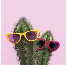 Twee cactussen met zonnebrillen