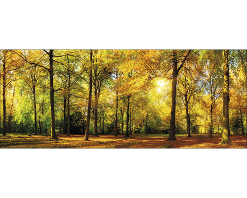 PURE LIVING Schilderij glas Sunshine In The Forest 50x125 cm