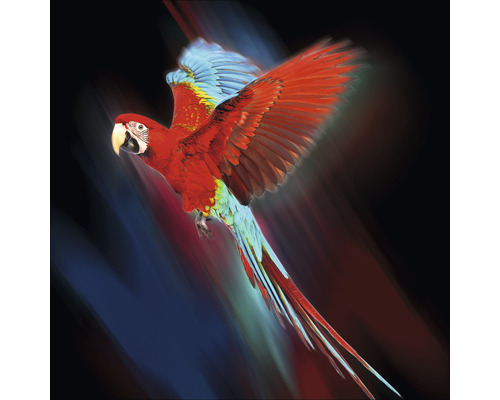 PURE LIVING Schilderij glas Red Parrot 50x50 cm