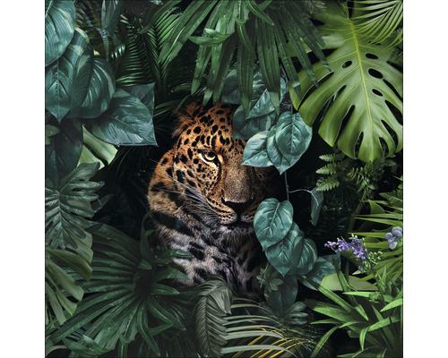 PURE LIVING Schilderij glas Jaguar In The Jungle 50x50 cm