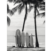 Meerdere surfplanken staan op het strand onder palmbomen.