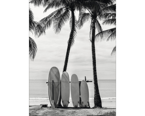 Meerdere surfplanken staan op het strand onder palmbomen.