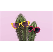 Twee cactussen met zonnebrillen