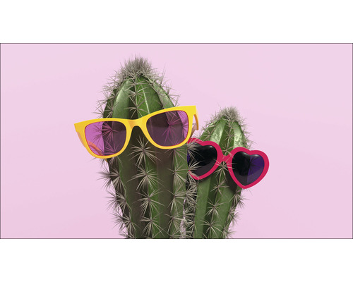 Twee cactussen met zonnebrillen