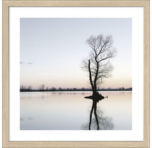 Ingelijste afbeelding met boom in meer