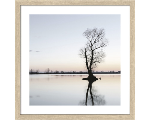 Ingelijste afbeelding met boom in meer