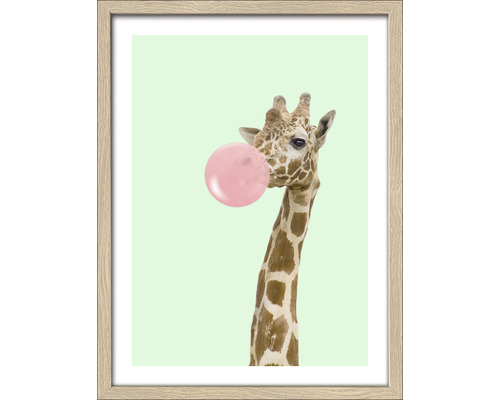 PURE LIVING Schilderij met lijst Giraffe Chewing Gum 33x43 cm