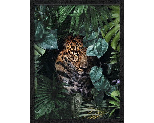 PURE LIVING Schilderij met lijst Jaguar In The Jungle 33x43 cm