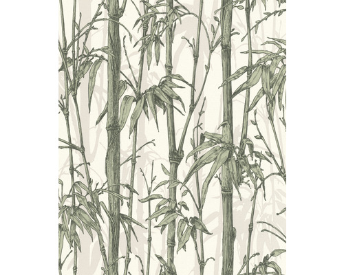 RASCH Vliesbehang 484847 Florentine III bamboe wit/groen
