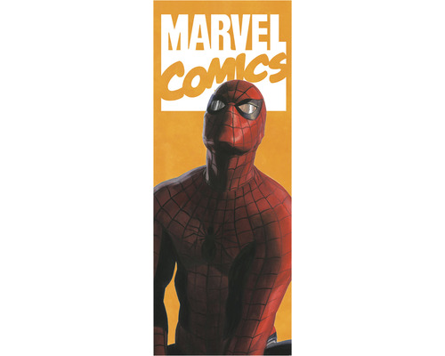 KOMAR Fotobehang vlies IADX2-070 Spider-Man Comic 100x250 cm