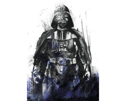KOMAR Fotobehang vlies IADX4-017 Star Wars Watercolor Vader 200x280 cm