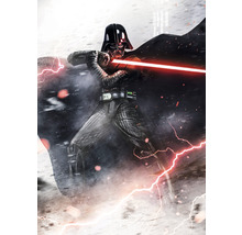 Darth Vader met lichtzwaard