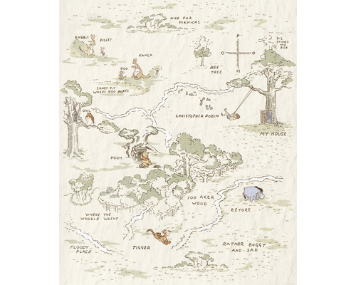 KOMAR Fotobehang vlies IADX4-042 Winnie The Pooh Map 200x240 cm