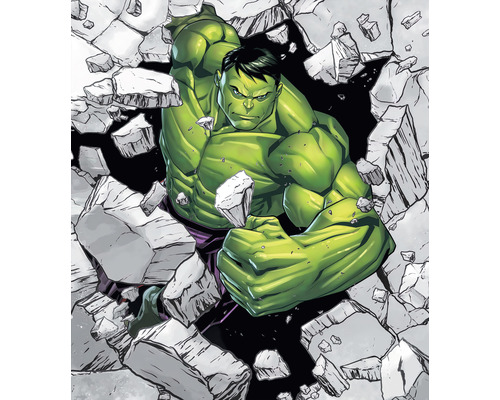 KOMAR Fotobehang vlies IADX5-060 Hulk Breaker 250x280 cm