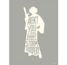 KOMAR Poster Star Wars silhouette quotes Leia 30x40 cm