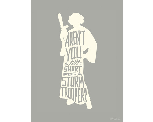 KOMAR Poster Star Wars silhouette quotes Leia 30x40 cm