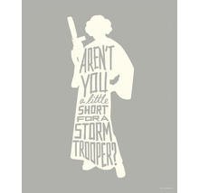 KOMAR Poster Star Wars silhouette quotes Leia 40x50 cm