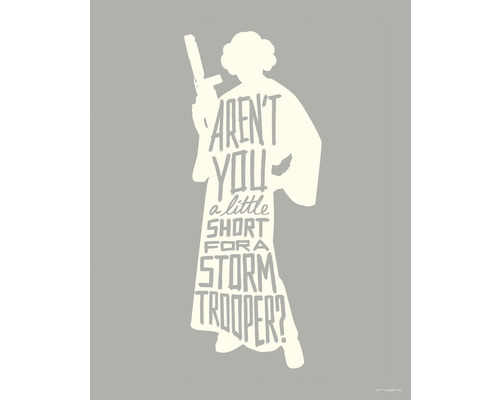 KOMAR Poster Star Wars silhouette quotes Leia 40x50 cm
