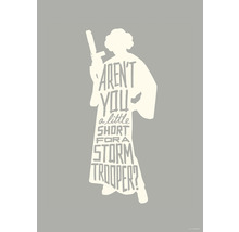 KOMAR Poster Star Wars silhouette quotes Leia 50x70 cm