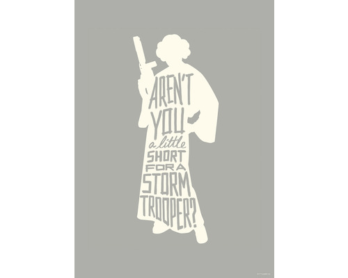 KOMAR Poster Star Wars silhouette quotes Leia 50x70 cm