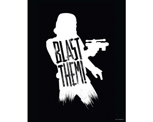 Star Wars Stormtrooper silhouet met de tekst Blast Them