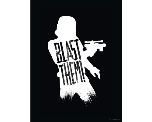 Star Wars Stormtrooper afbeelding met geweer en de tekst Blast Them
