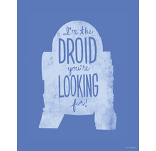Star Wars R2-D2 silhouet met de quote Ik ben de droid die je zoekt