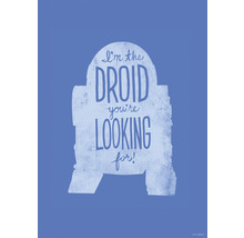 Star Wars poster met de quote: Ik ben de droid die je zoekt.