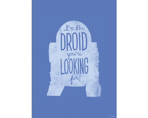 Star Wars poster met de quote: Ik ben de droid die je zoekt.