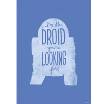 Star Wars R2-D2 poster met de quote Ik ben de droid die je zoekt