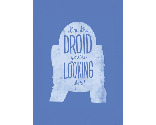 KOMAR Poster Star Wars silhouette quotes R2D2 50x70 cm