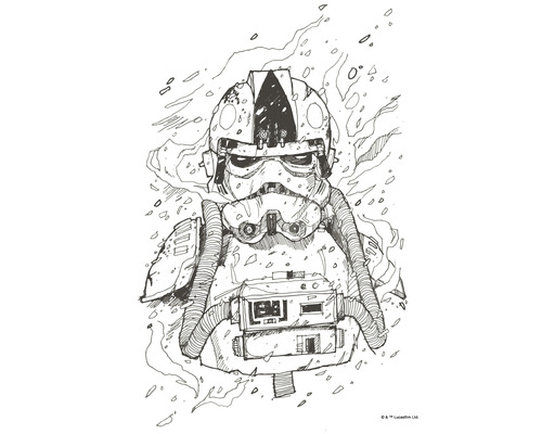 KOMAR Poster Star Wars pilot drawing 30x40 cm