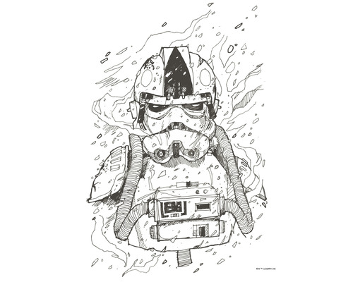 KOMAR Poster Star Wars pilot drawing 40x50 cm