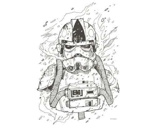 KOMAR Poster Star Wars pilot drawing 50x70 cm