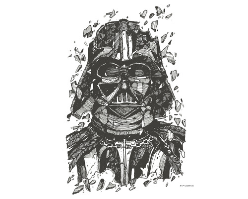 KOMAR Poster Star Wars Darth Vader drawing 40x50 cm