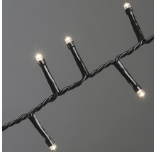 Lichtsnoer met meerdere warm wit gloeiende leds
