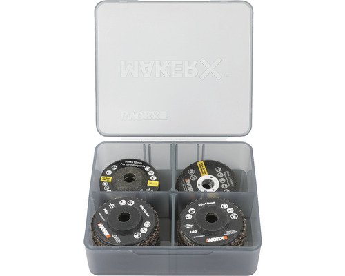 Worx schuurschijvenset in opbergdoos