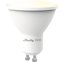 Shelly Duo lamp