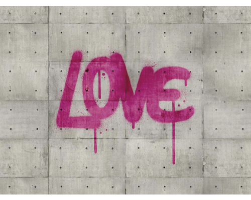 A.S. CRÉATION Fotobehang vlies 38265-1 The Wall love 371x280 cm Wandafbeelding met het woord Love op beton