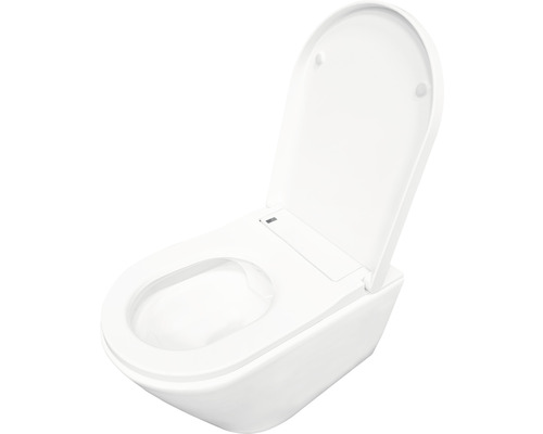 Wandcloset met diepspoeling, open spoelrand en toiletzitting