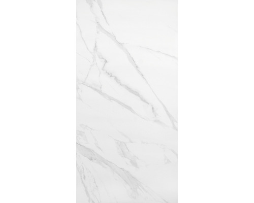 Wand- en vloertegel Calacatta polished 120x60 cm gerectificeerd